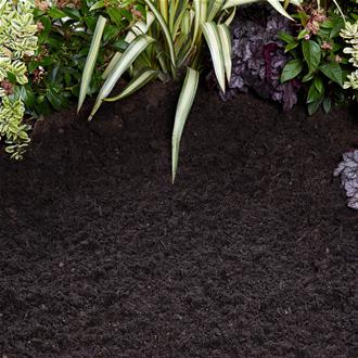 Beds & Borders Soil