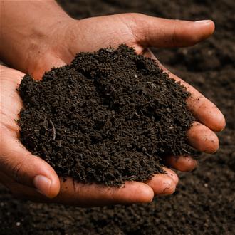 Winter Mix Compost Mulch